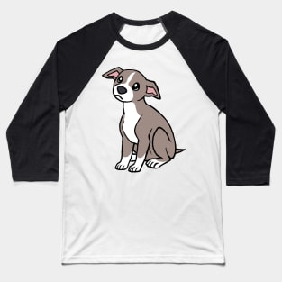 Italian Greyhound (Doggust 2023) Baseball T-Shirt